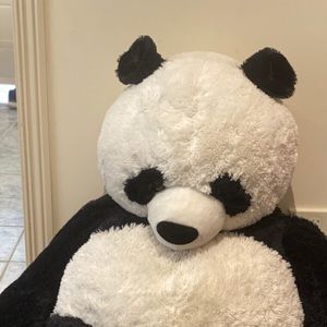 Meet your Posher, Connie